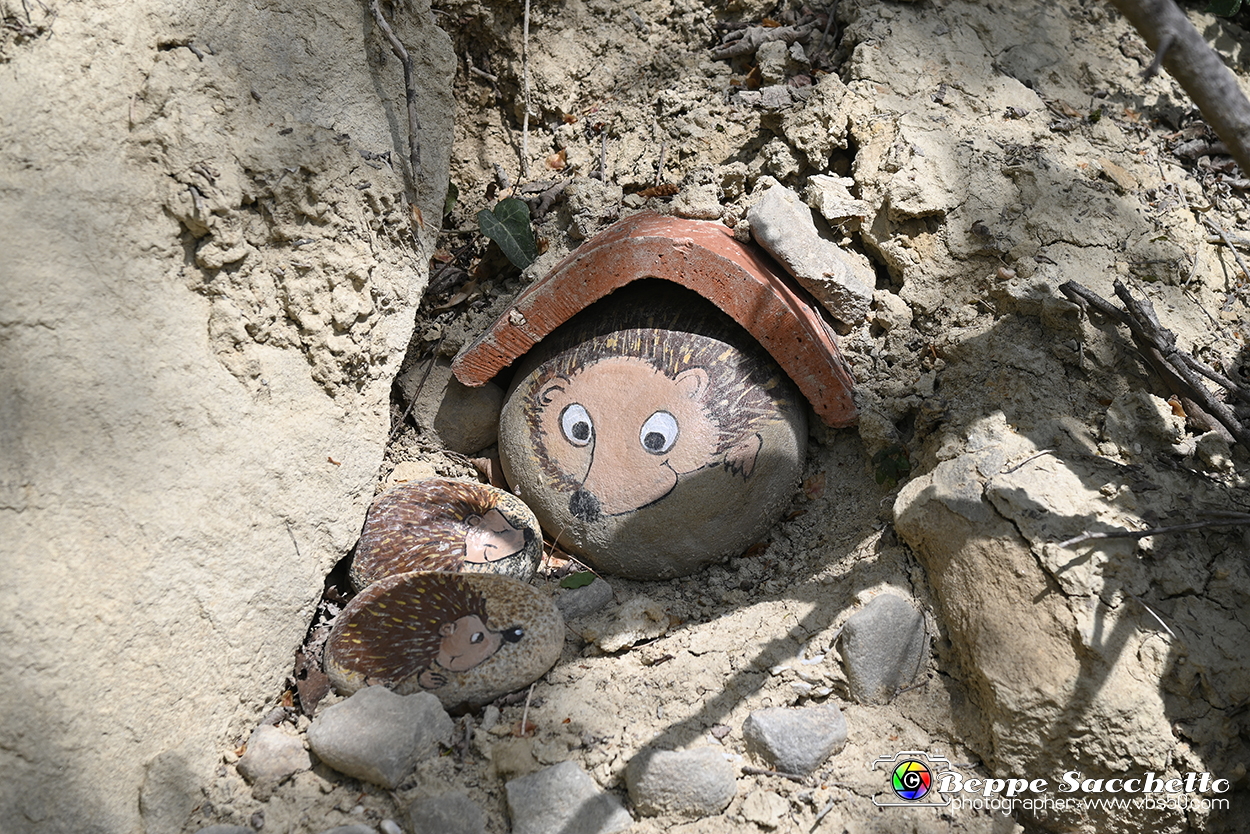 VBS_3059 - Mango (Cuneo) - Gnomovia.jpg